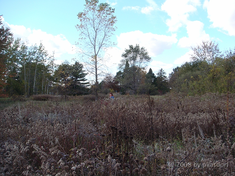 12 Shiawassee National Wildlife Refuge [2008 Nov 5].JPG - Scenes from Shiawassee National Wildlife Refuge in Michigan.